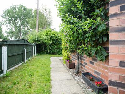 Picture 25